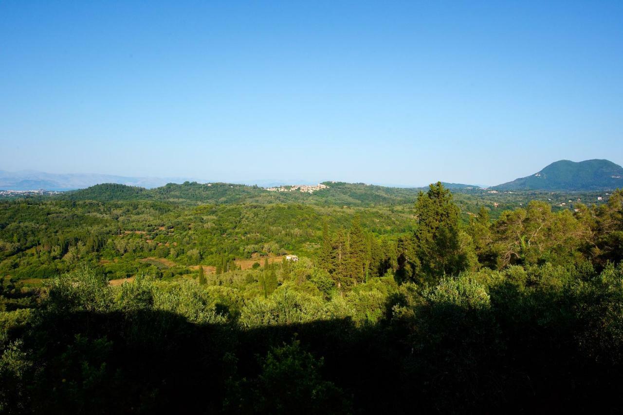 Aurora Apartment Corfu Pelekas Esterno foto