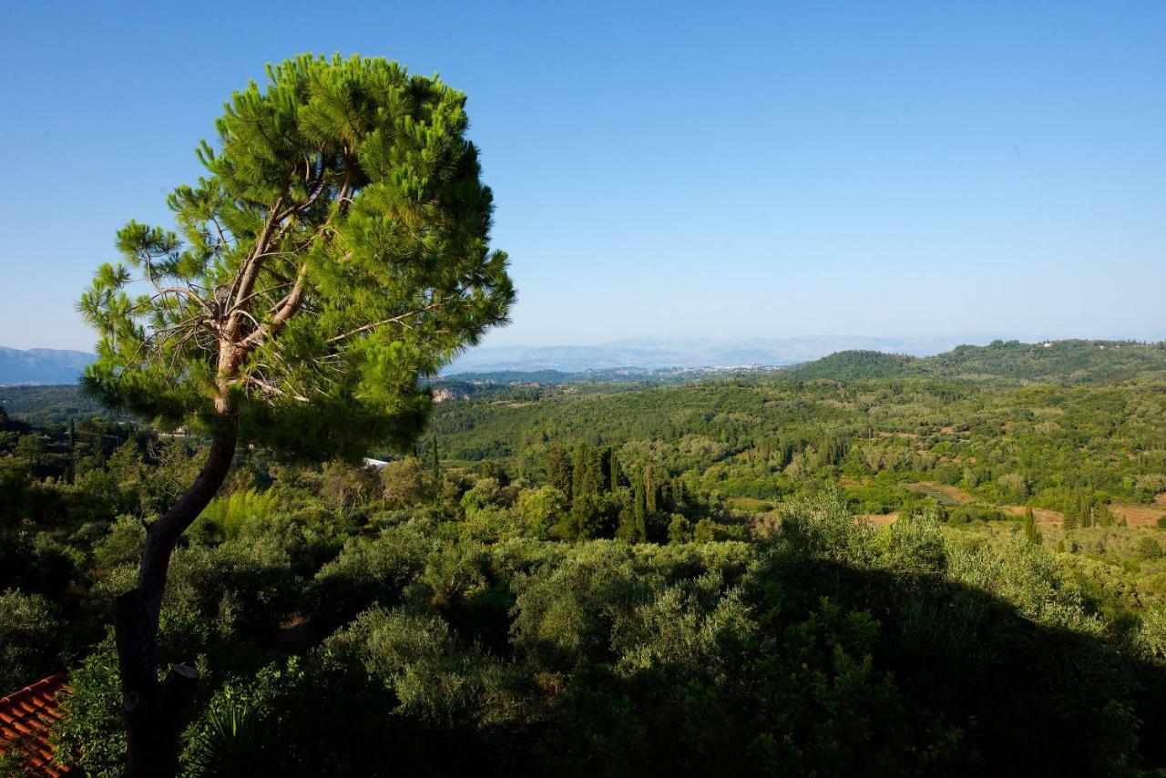 Aurora Apartment Corfu Pelekas Esterno foto